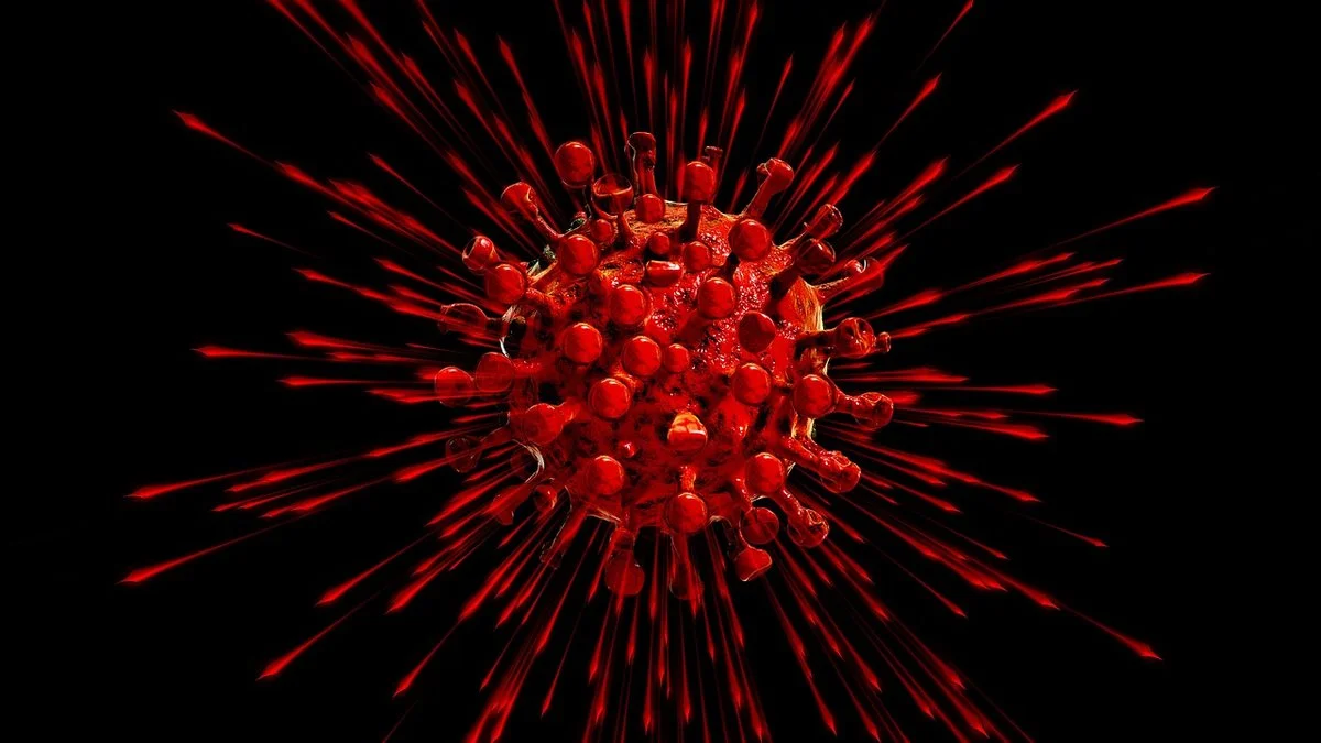 鲁特肯豪斯800米惊艳爆冷：老将经验价值受关注